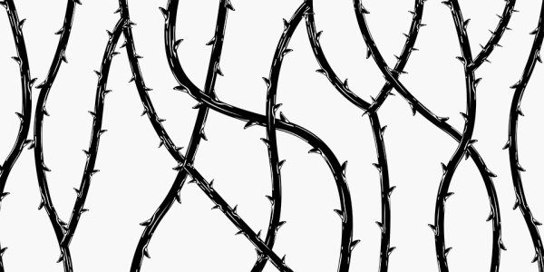 Терновник лоза