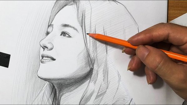 Truong son карандаш