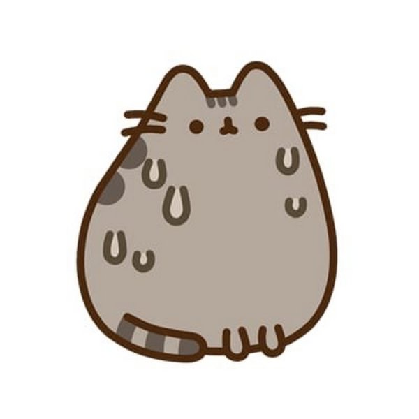 Pusheen Гарри Поттер