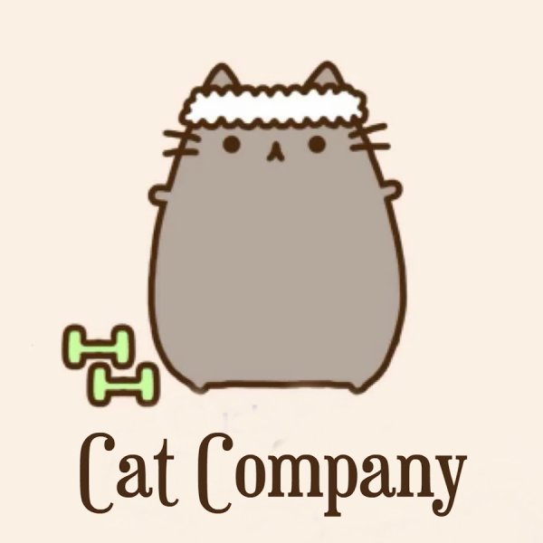 Пушин Кэт занимается спортом