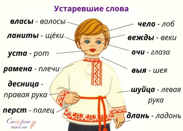 Названия частей тела на старославянском языке