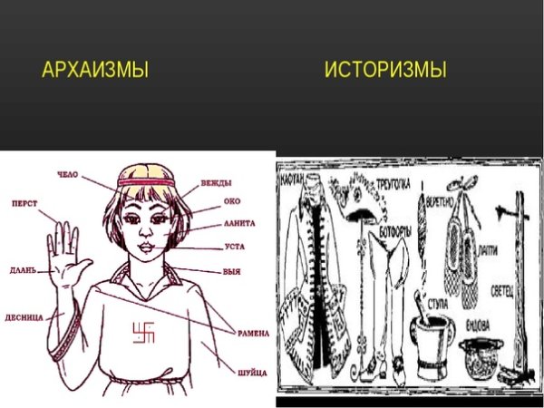 Историзмы и архаизмы