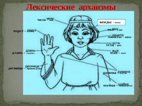 Устаревшие названия частей тела и лица