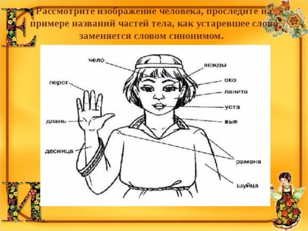 Древние названия частей тела