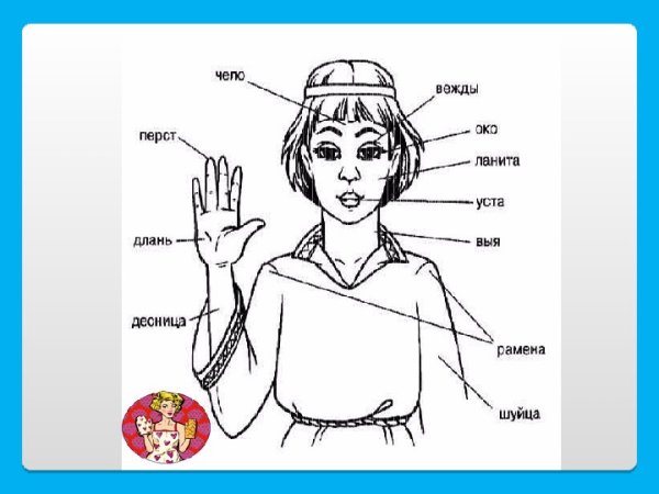 Что такое вежды в устаревших словах