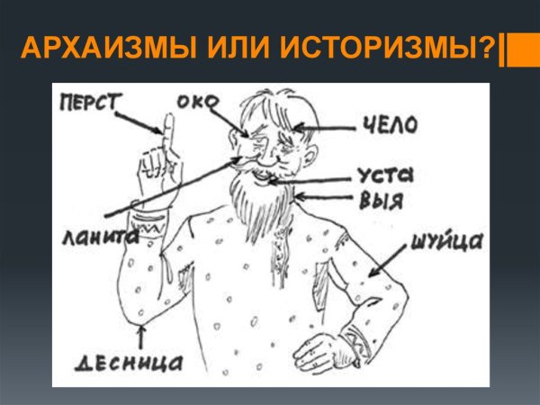 Устаревшие слова иллюстрации