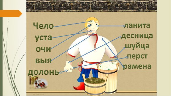 Устаревшие слова