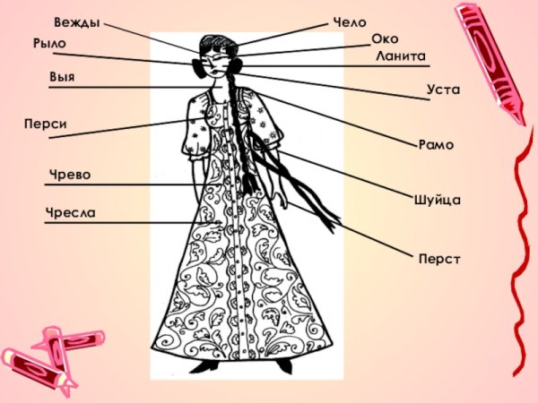 Устаревшие названия частей тела