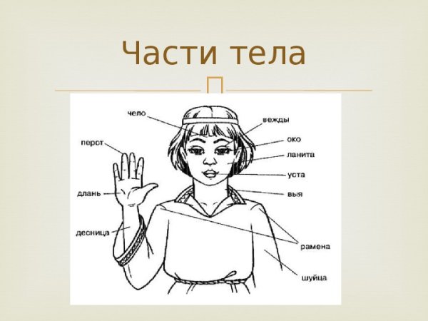 Устаревшие слова презентация