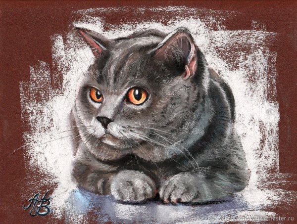 Британские кошки в живописи