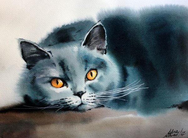 Кот пастелью