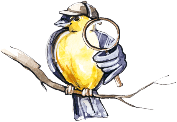 Чижик пыжик рисунок