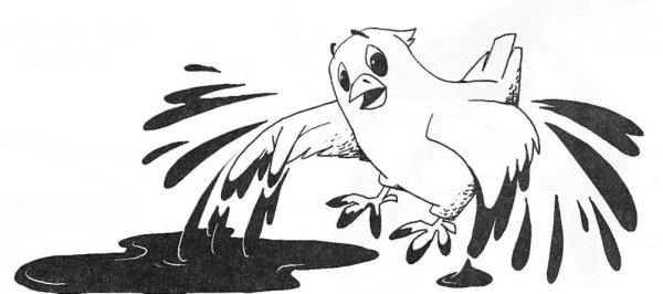 Чижик пыжик рисунок