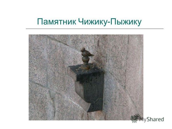 Чижик-пыжик в Санкт-Петербурге