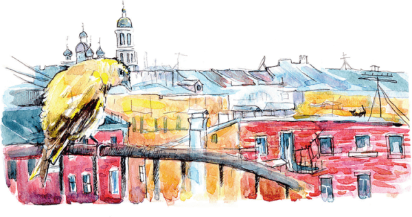 Памятник Чижику Пыжику рисунок