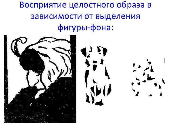 Целостность восприятия примеры