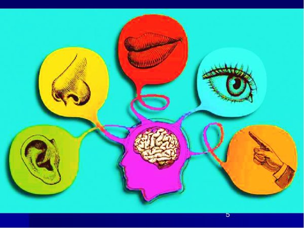 Чувства восприятия