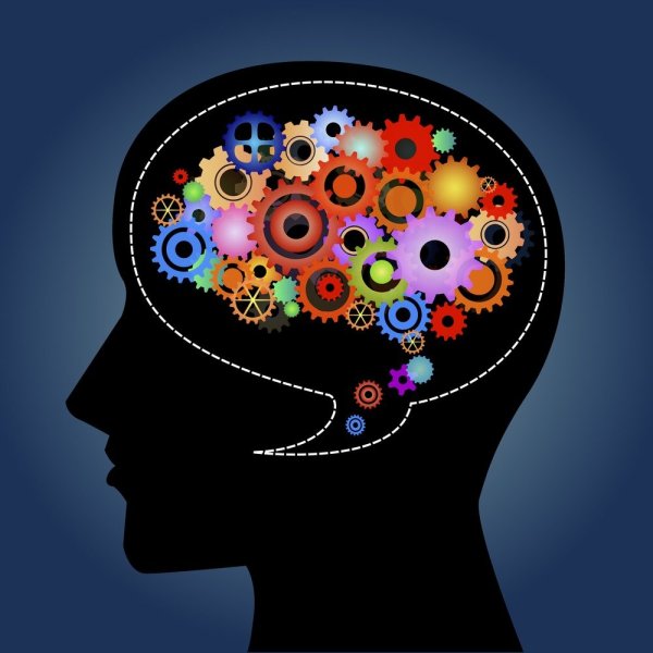 Психология человека