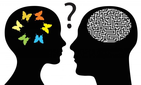 Мозг мужчины и женщины