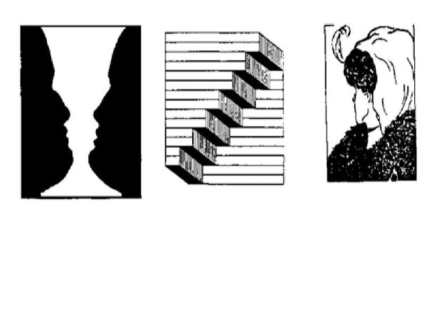 Иллюзия (психология)