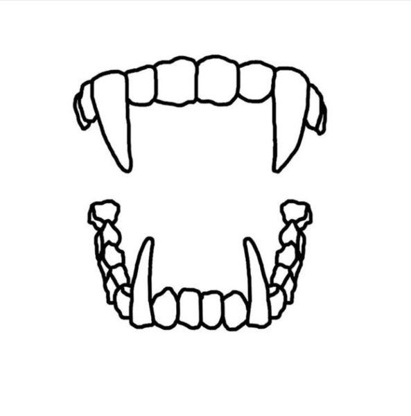 Челюсть эскиз