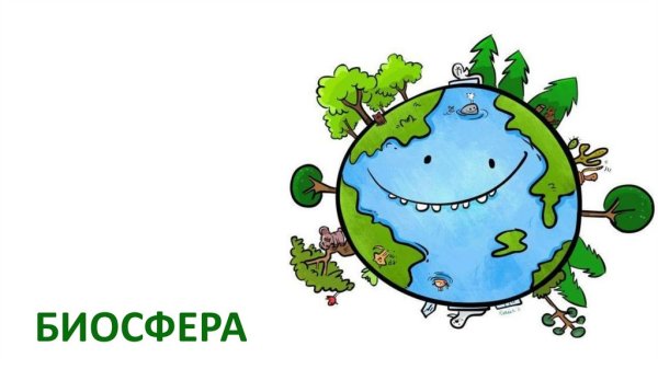 Биосфера это в экологии