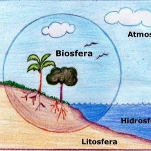 Рисунок на тему человек и Биосфера
