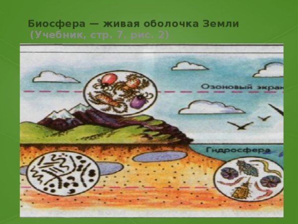 Презентация по биосфере