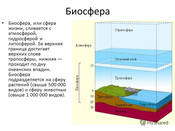 Строение земли атмосфера гидросфера литосфера