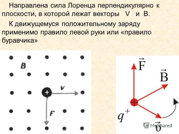 Направление силы Лоренца схема