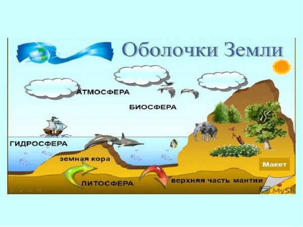 Планета земля Биосфера