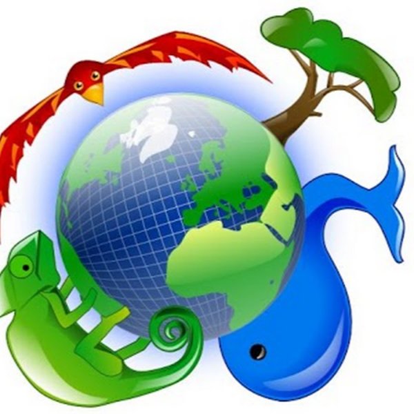 Рисунок по экологии