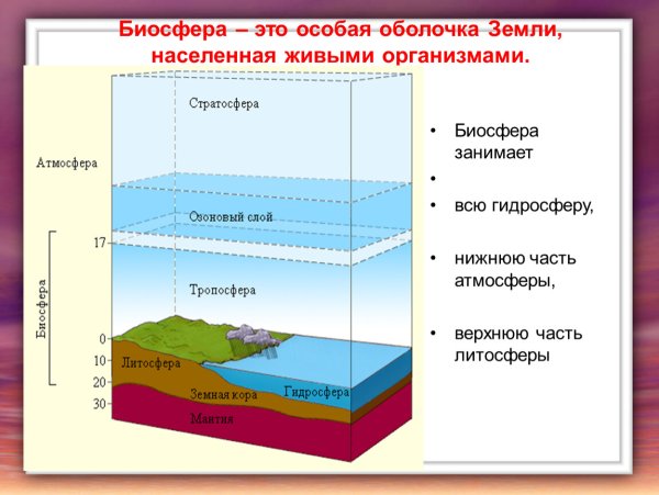 Макет круговорота земли воды
