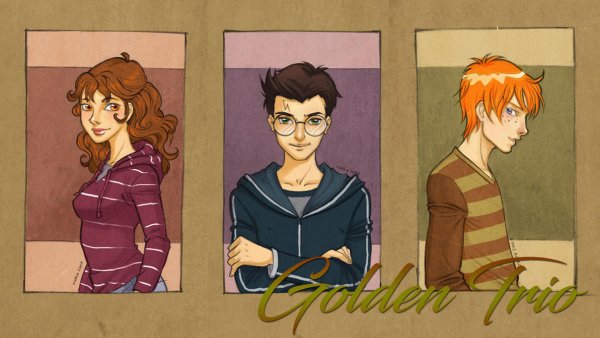 Гарри Поттер Рон и Гермиона арт