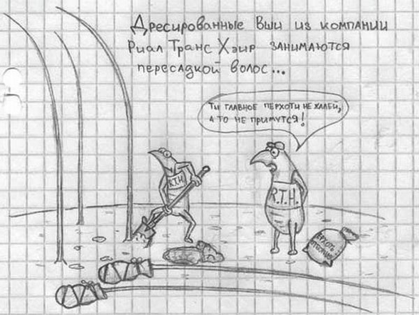 Койот и дорожный бегун гиф