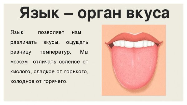 Язык рисунка