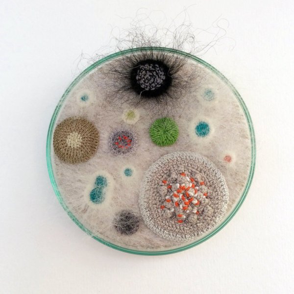 Плесень рисунок для детей