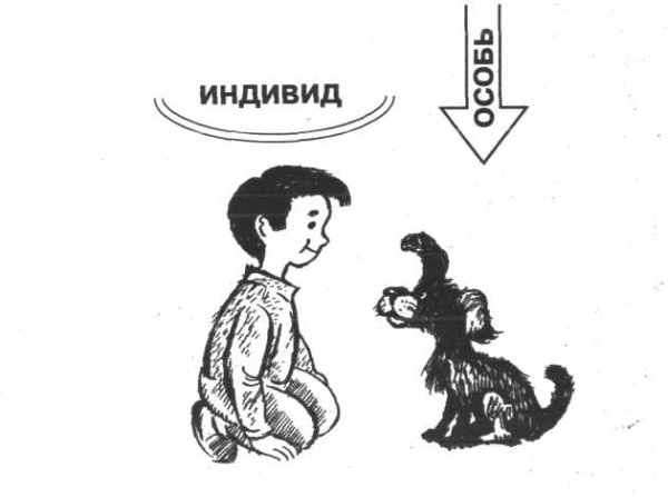 Рисунок индивид и личность