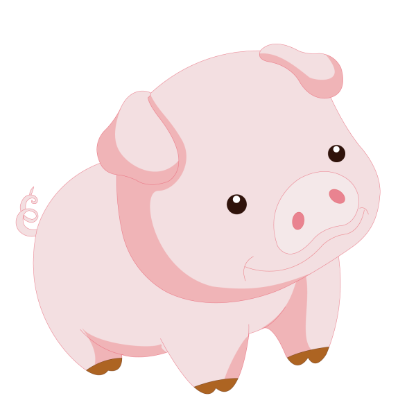 Свинья на белом фоне