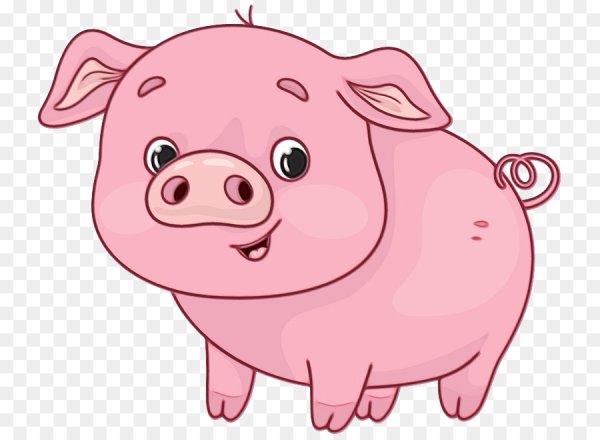 Свинья для детей