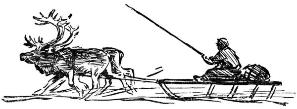 Оленья упряжка вектор Ненец