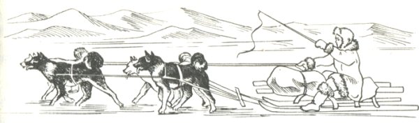 Сани зарисовка