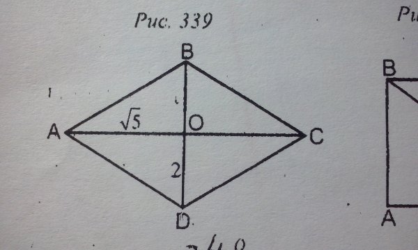 Начерти любой прямоугольник и