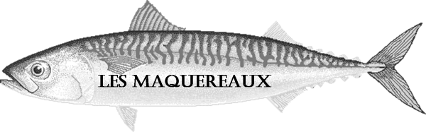 Скумбрия чб