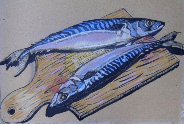 Рыба скумбрия рисунок