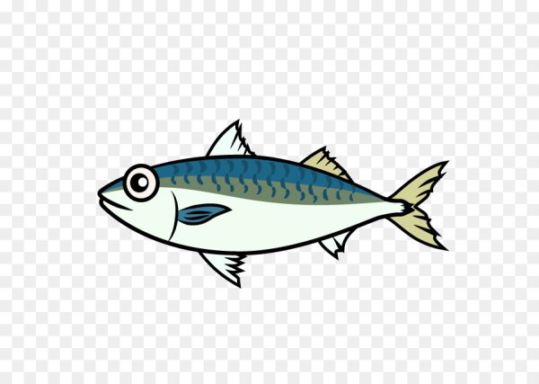 Ставрида сардина