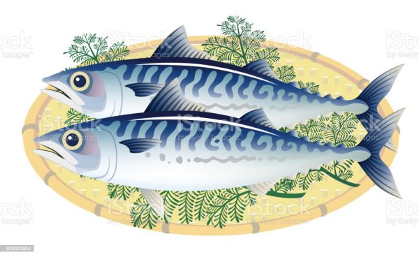Скумбрия картинка для детей
