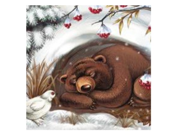 Медведь спит зимой