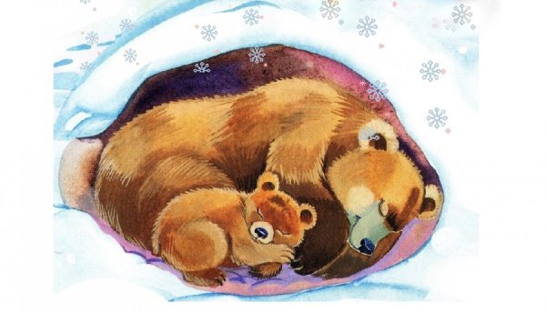 Берлога медведя