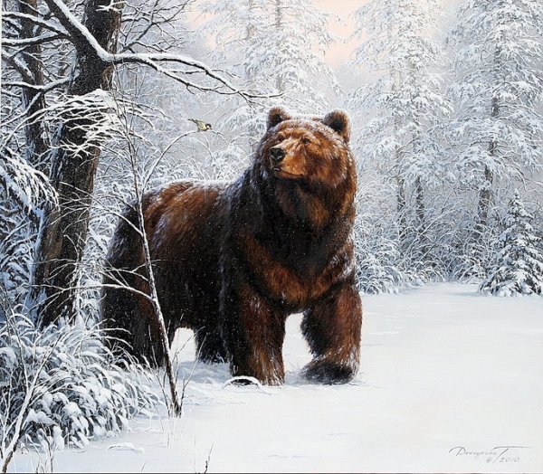 Картина медведь